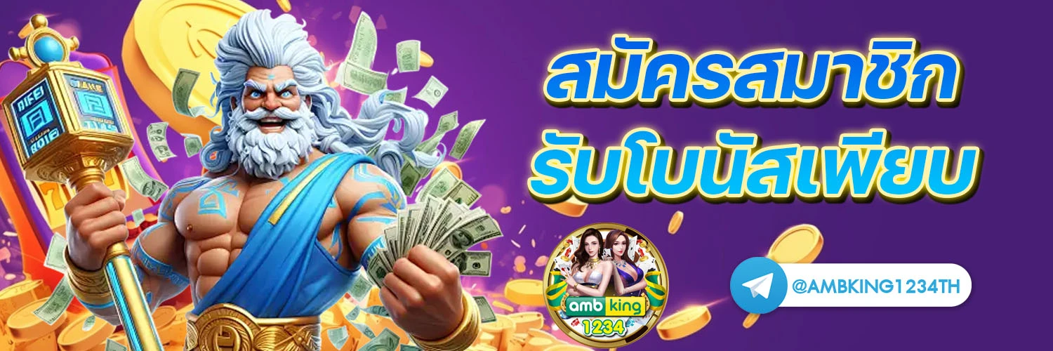 true wallet - แบนเนอร์โปรโมชั่น