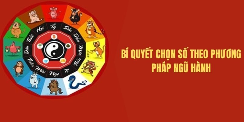 Phương pháp chọn số theo ngũ hành hiệu quả